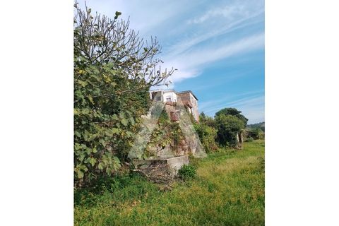 Farm i Barroselas, Viana do Castelo, Barroselas - € 290.000 | Ref: 1350273/26VC - foto 3