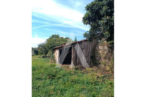 Farm i Barroselas, Viana do Castelo, Barroselas - € 290.000 | Ref: 1350273/26VC - foto 18