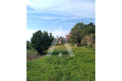 Farm i Barroselas, Viana do Castelo, Barroselas - € 290.000 | Ref: 1350273/26VC - foto 19