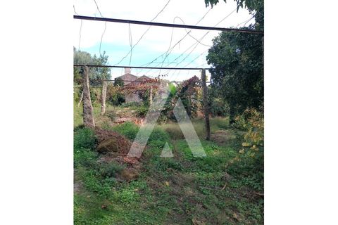 Farm i Barroselas, Viana do Castelo, Barroselas - € 290.000 | Ref: 1350273/26VC - foto 20