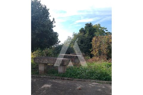 Farm i Barroselas, Viana do Castelo, Barroselas - € 290.000 | Ref: 1350273/26VC - foto 21