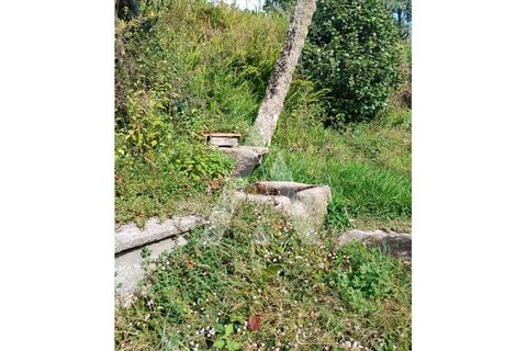 Farm i Barroselas, Viana do Castelo, Barroselas - € 290.000 | Ref: 1350273/26VC - foto 22