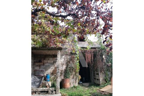 Farm i Barroselas, Viana do Castelo, Barroselas - € 290.000 | Ref: 1350273/26VC - foto 23