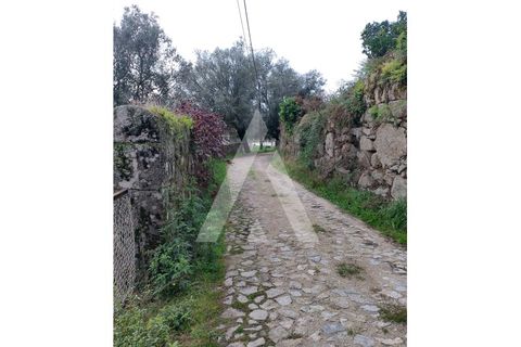 Helårsgrund i Barroselas, Viana do Castelo, Barroselas - € 52.000 | Ref: 1350272/26VC - foto 5