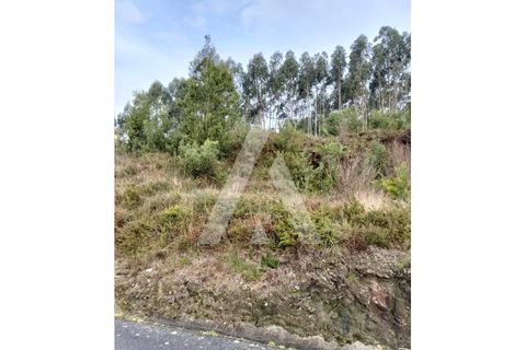 Helårsgrund i Outeiro, Viana do Castelo, Outeiro - € 88.000 | Ref: 1350270/26VC - foto 5