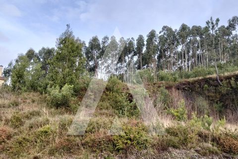 Helårsgrund i Outeiro, Viana do Castelo, Outeiro - € 88.000 | Ref: 1350270/26VC - foto 6
