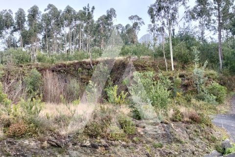 Helårsgrund i Outeiro, Viana do Castelo, Outeiro - € 78.000 | Ref: 1350269/26VC - foto 4