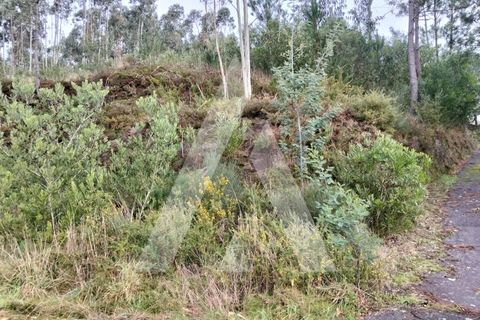 Helårsgrund i Outeiro, Viana do Castelo, Outeiro - € 78.000 | Ref: 1350269/26VC - foto 5