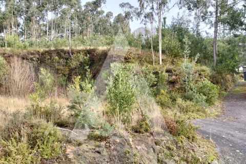 Helårsgrund i Outeiro, Viana do Castelo, Outeiro - € 78.000 | Ref: 1350269/26VC - foto 7