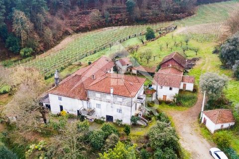 Farm i Amarante, Porto, Amarante - € 1.000.000 | Ref: 01.PO.01.002 - foto 1