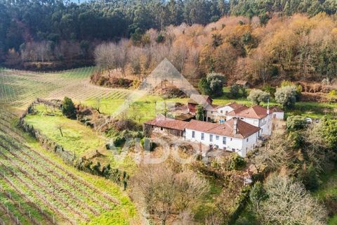 Farm i Amarante, Porto, Amarante - € 1.000.000 | Ref: 01.PO.01.002 - foto 2