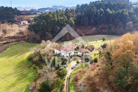 Farm i Amarante, Porto, Amarante - € 1.000.000 | Ref: 01.PO.01.002 - foto 3