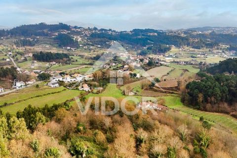 Farm i Amarante, Porto, Amarante - € 1.000.000 | Ref: 01.PO.01.002 - foto 5