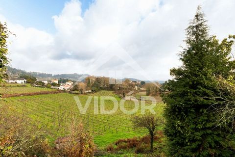 Farm i Amarante, Porto, Amarante - € 1.000.000 | Ref: 01.PO.01.002 - foto 6