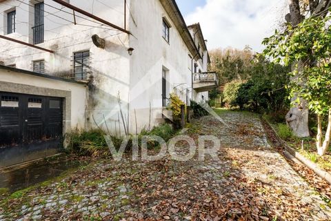 Farm i Amarante, Porto, Amarante - € 1.000.000 | Ref: 01.PO.01.002 - foto 7