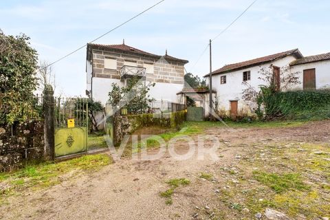 Farm i Amarante, Porto, Amarante - € 1.000.000 | Ref: 01.PO.01.002 - foto 8