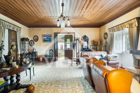 Farm i Amarante, Porto, Amarante - € 1.000.000 | Ref: 01.PO.01.002 - foto 13
