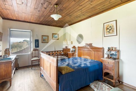 Farm i Amarante, Porto, Amarante - € 1.000.000 | Ref: 01.PO.01.002 - foto 19