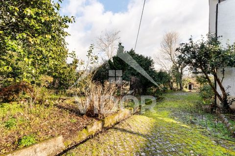Farm i Amarante, Porto, Amarante - € 1.000.000 | Ref: 01.PO.01.002 - foto 26