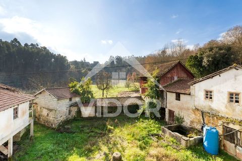 Farm i Amarante, Porto, Amarante - € 1.000.000 | Ref: 01.PO.01.002 - foto 27