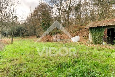 Farm i Amarante, Porto, Amarante - € 1.000.000 | Ref: 01.PO.01.002 - foto 28