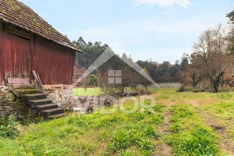 Farm i Amarante, Porto, Amarante - € 1.000.000 | Ref: 01.PO.01.002 - foto 29