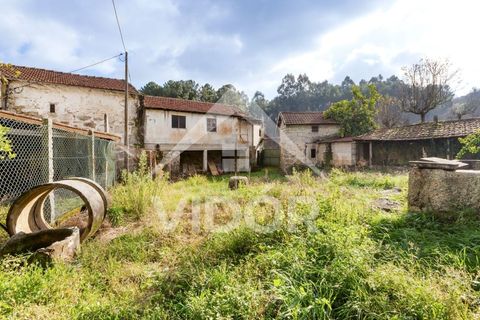 Farm i Amarante, Porto, Amarante - € 1.000.000 | Ref: 01.PO.01.002 - foto 30