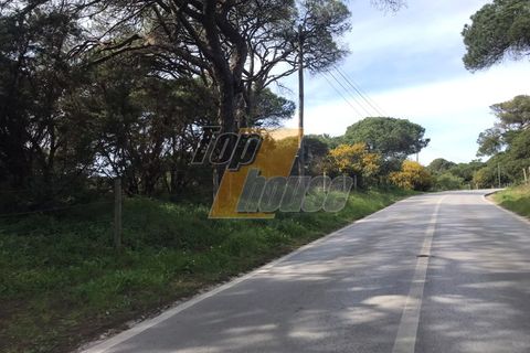 Villa i Almada, Setubal, Almada - € 975.000 | Ref: THC7124 - foto 19