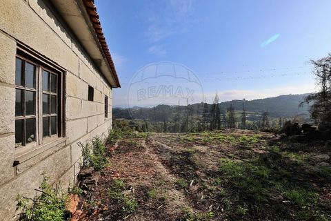 Helårsgrund i Penafiel, Porto, Penafiel - € 170.000 | Ref: 120781104-1116 - foto 20