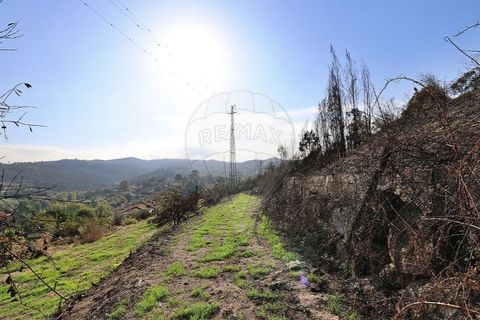 Helårsgrund i Penafiel, Porto, Penafiel - € 170.000 | Ref: 120781104-1116 - foto 28