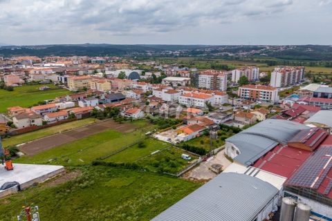 Helårsgrund i Leiria, Leiria, Leiria - € 299.000 | Ref: ZMPT584615 - foto 11