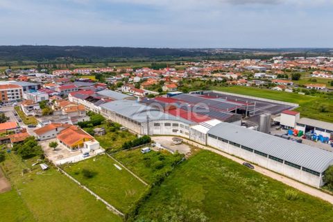 Helårsgrund i Leiria, Leiria, Leiria - € 299.000 | Ref: ZMPT584615 - foto 13