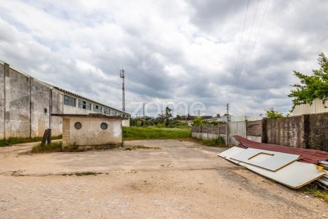 Helårsgrund i Leiria, Leiria, Leiria - € 299.000 | Ref: ZMPT584615 - foto 17