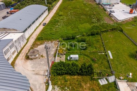 Helårsgrund i Leiria, Leiria, Leiria - € 299.000 | Ref: ZMPT584615 - foto 22