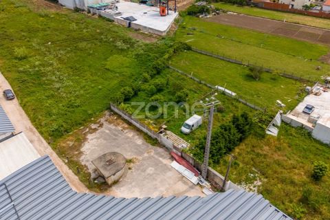 Helårsgrund i Leiria, Leiria, Leiria - € 299.000 | Ref: ZMPT584615 - foto 23