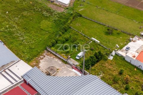 Helårsgrund i Leiria, Leiria, Leiria - € 299.000 | Ref: ZMPT584615 - foto 24