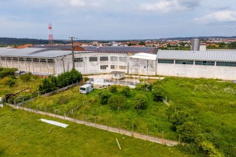 Helårsgrund i Leiria, Leiria, Leiria - € 299.000 | Ref: ZMPT584615 - foto 26