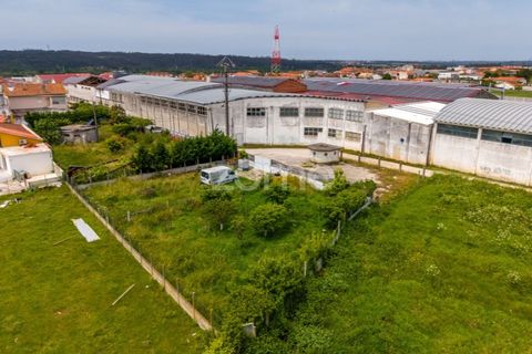 Helårsgrund i Leiria, Leiria, Leiria - € 299.000 | Ref: ZMPT584615 - foto 27