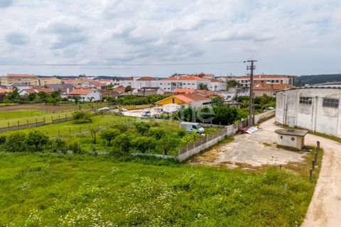 Helårsgrund i Leiria, Leiria, Leiria - € 299.000 | Ref: ZMPT584615 - foto 34