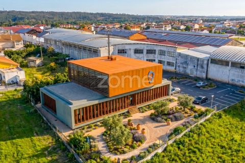 Helårsgrund i Leiria, Leiria, Leiria - € 299.000 | Ref: ZMPT584615 - foto 38