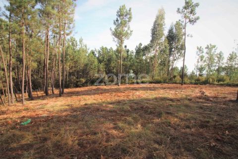 Helårsgrund i Ansiao, Leiria, Ansiao - € 29.900 | Ref: ZMPT584503 - foto 2