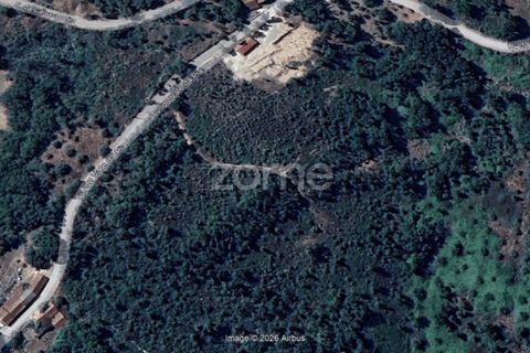 Helårsgrund i Ansiao, Leiria, Ansiao - € 29.900 | Ref: ZMPT584503 - foto 3