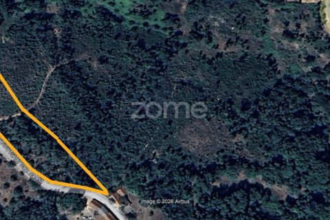 Helårsgrund i Ansiao, Leiria, Ansiao - € 29.900 | Ref: ZMPT584503 - foto 4