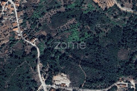 Helårsgrund i Ansiao, Leiria, Ansiao - € 29.900 | Ref: ZMPT584503 - foto 5