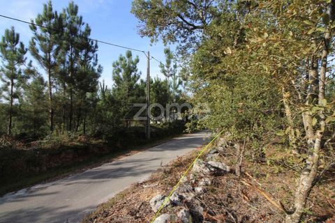 Helårsgrund i Ansiao, Leiria, Ansiao - € 29.900 | Ref: ZMPT584503 - foto 6