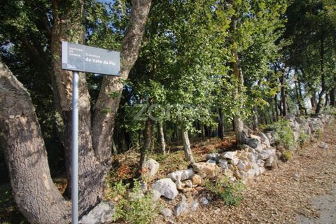 Helårsgrund i Ansiao, Leiria, Ansiao - € 29.900 | Ref: ZMPT584503 - foto 7
