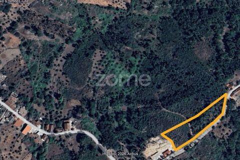 Helårsgrund i Ansiao, Leiria, Ansiao - € 29.900 | Ref: ZMPT584503 - foto 9