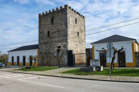 Helårsgrund i Ansiao, Leiria, Ansiao - € 29.900 | Ref: ZMPT584503 - foto 17