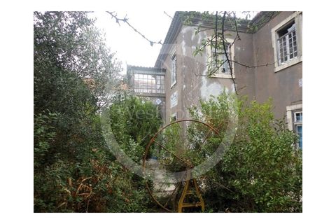 Villa i Torres Vedras, Lisbon, Torres Vedras - € 280.000 | Ref: WH21090-143 - foto 12