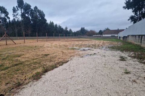 Villa i Anadia, Aveiro, Anadia - € 395.000 | Ref: EA98582 - foto 13
